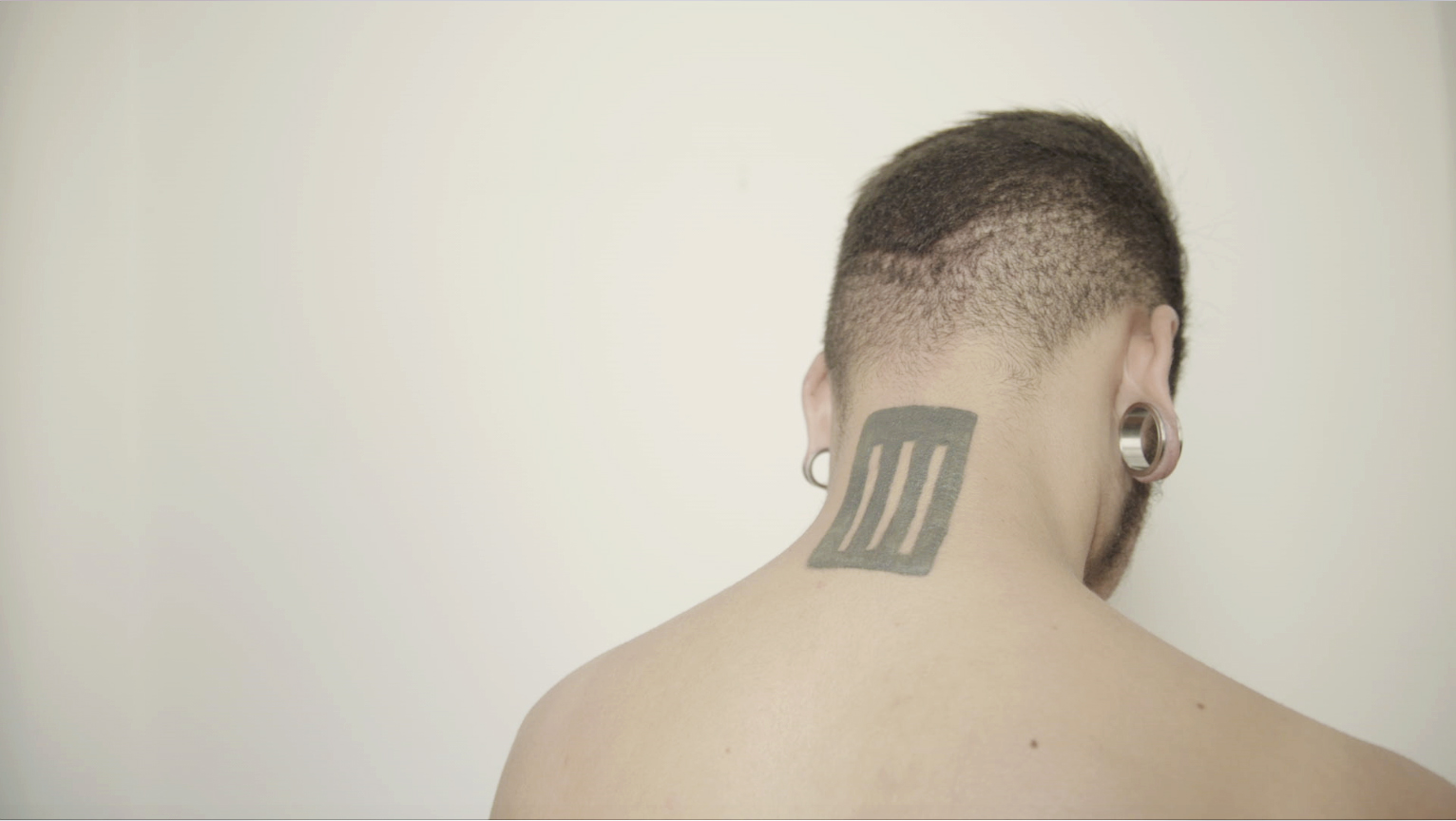paulamonte -