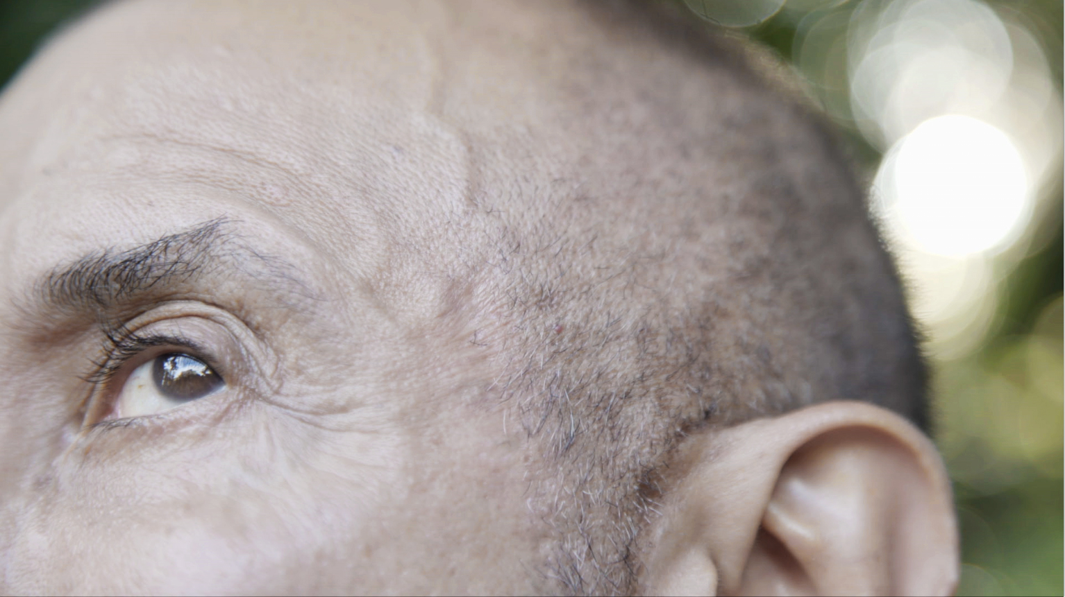 paulamonte -