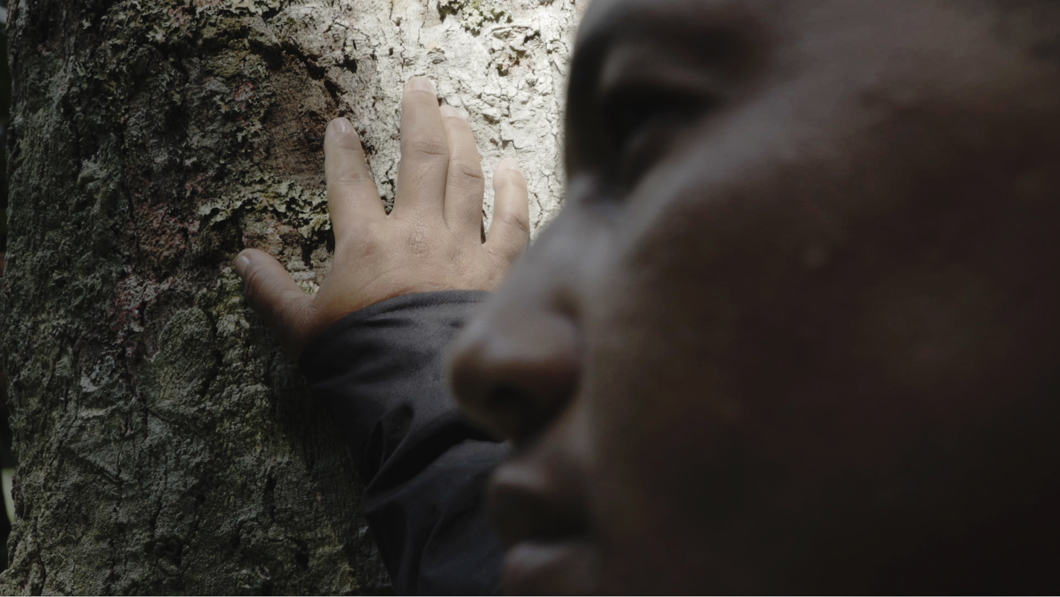 paulamonte -
