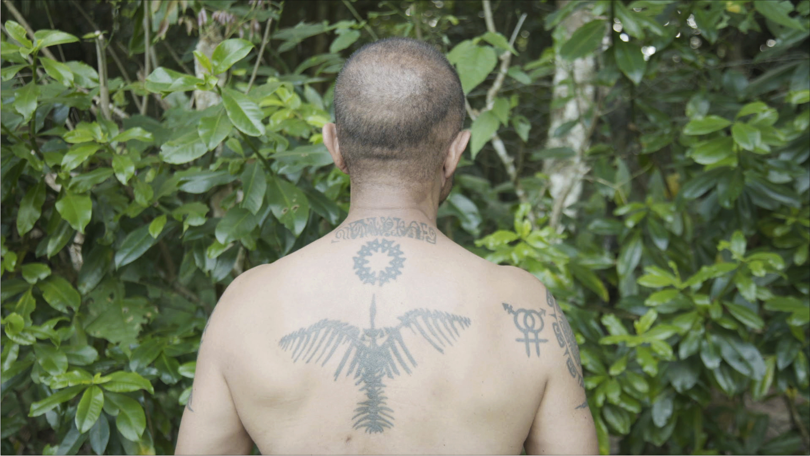 paulamonte -