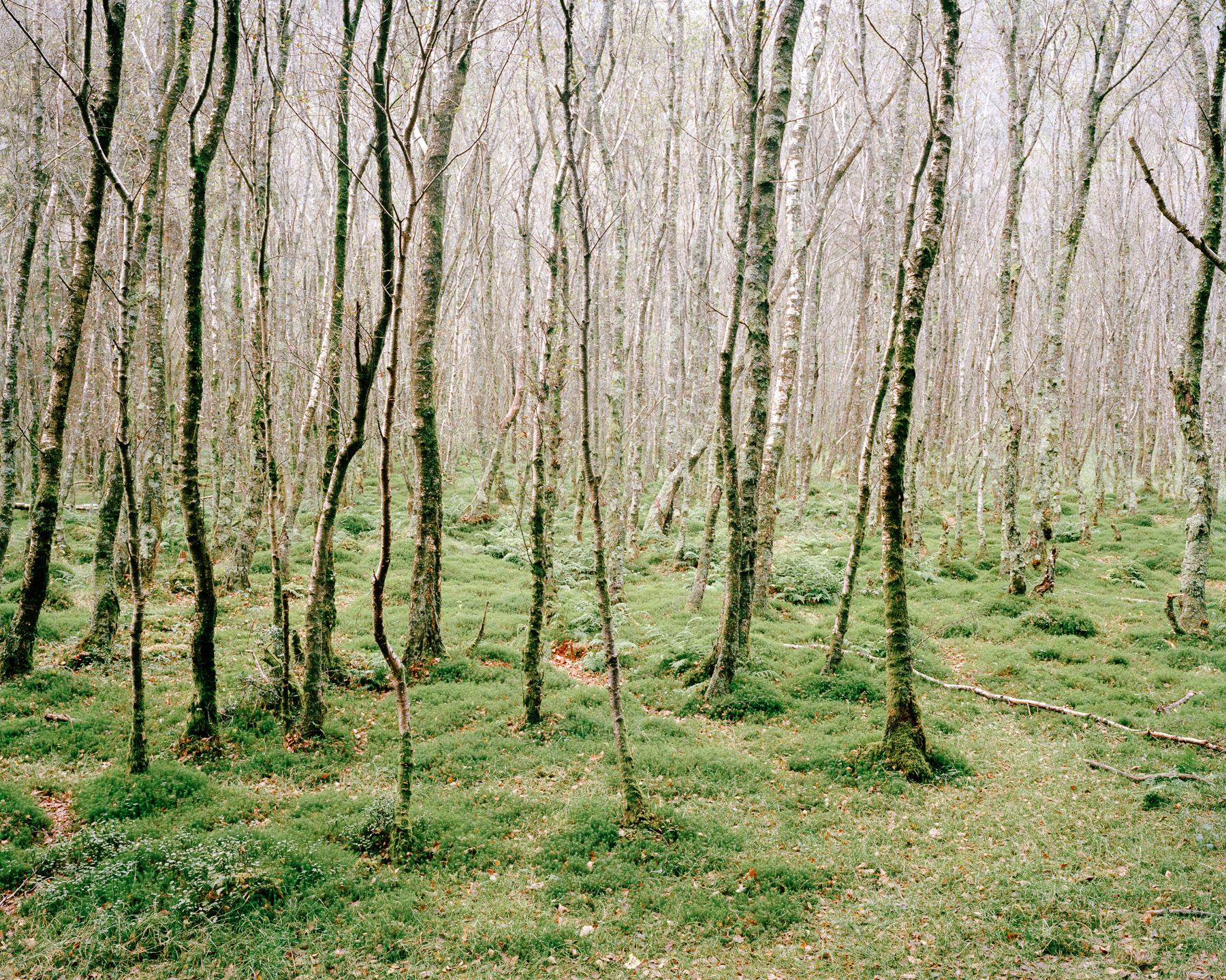 Ricardo Kump Photography -