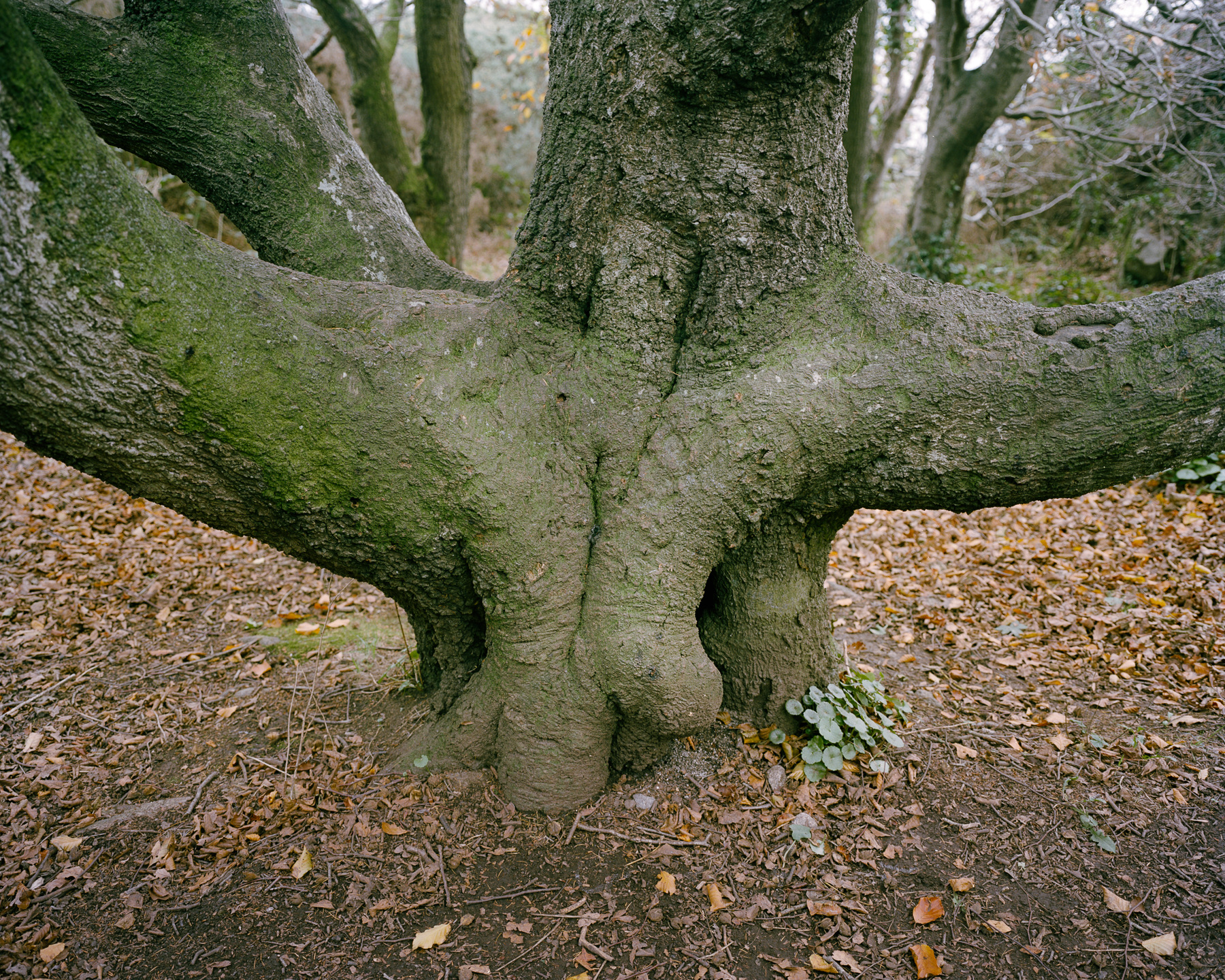 Ricardo Kump Photography -