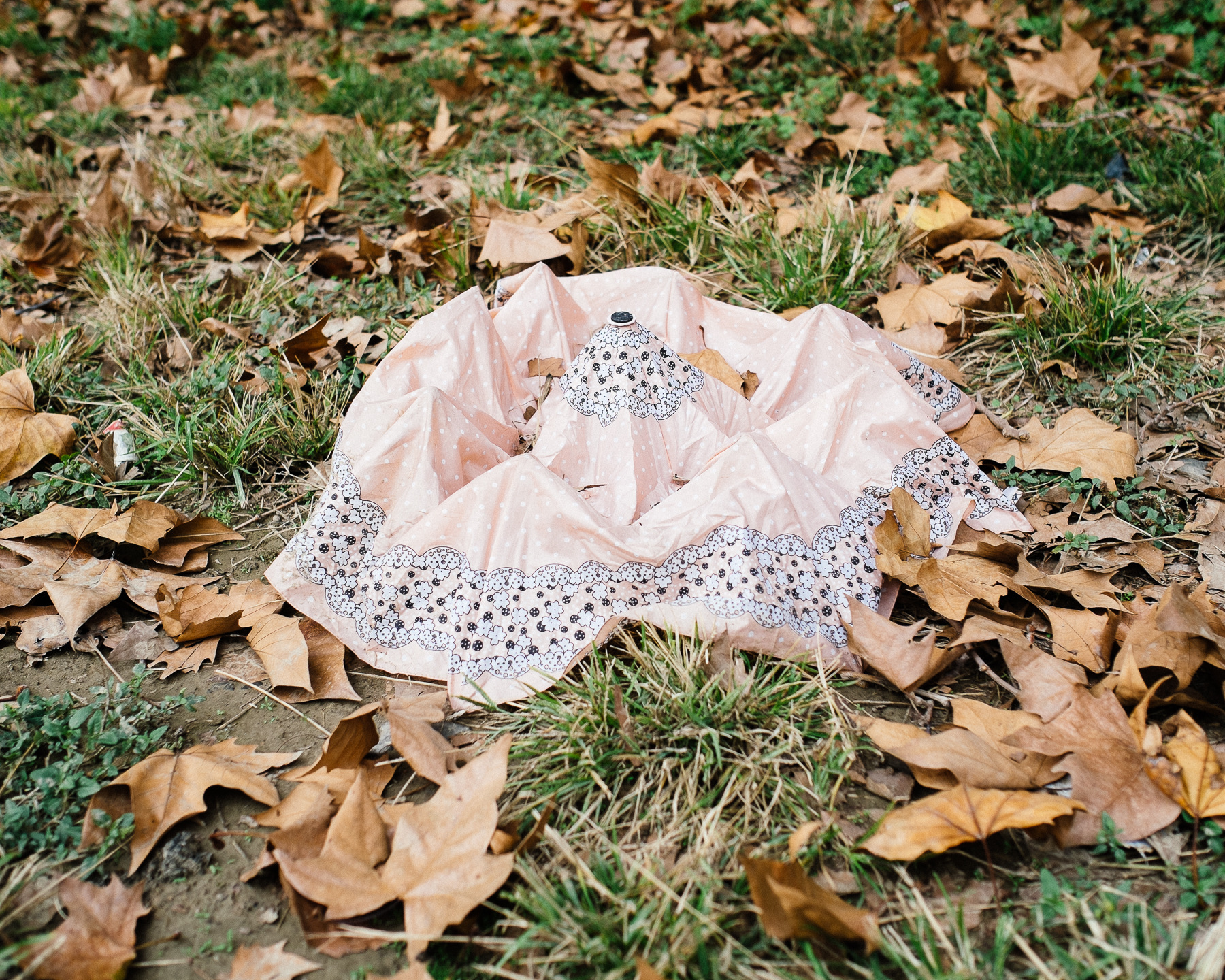 Ricardo Kump Photography -
