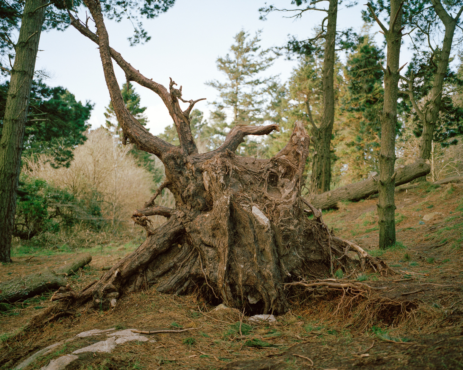 Ricardo Kump Photography -
