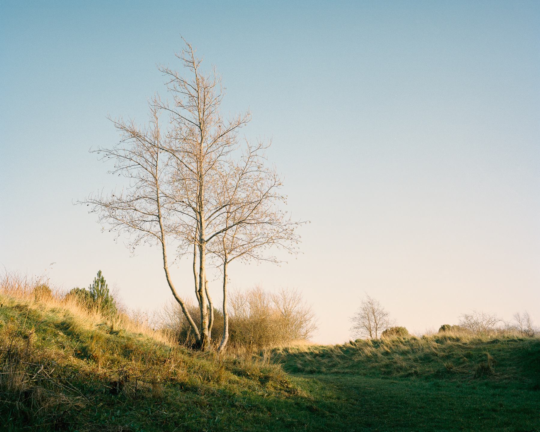 Ricardo Kump Photography -