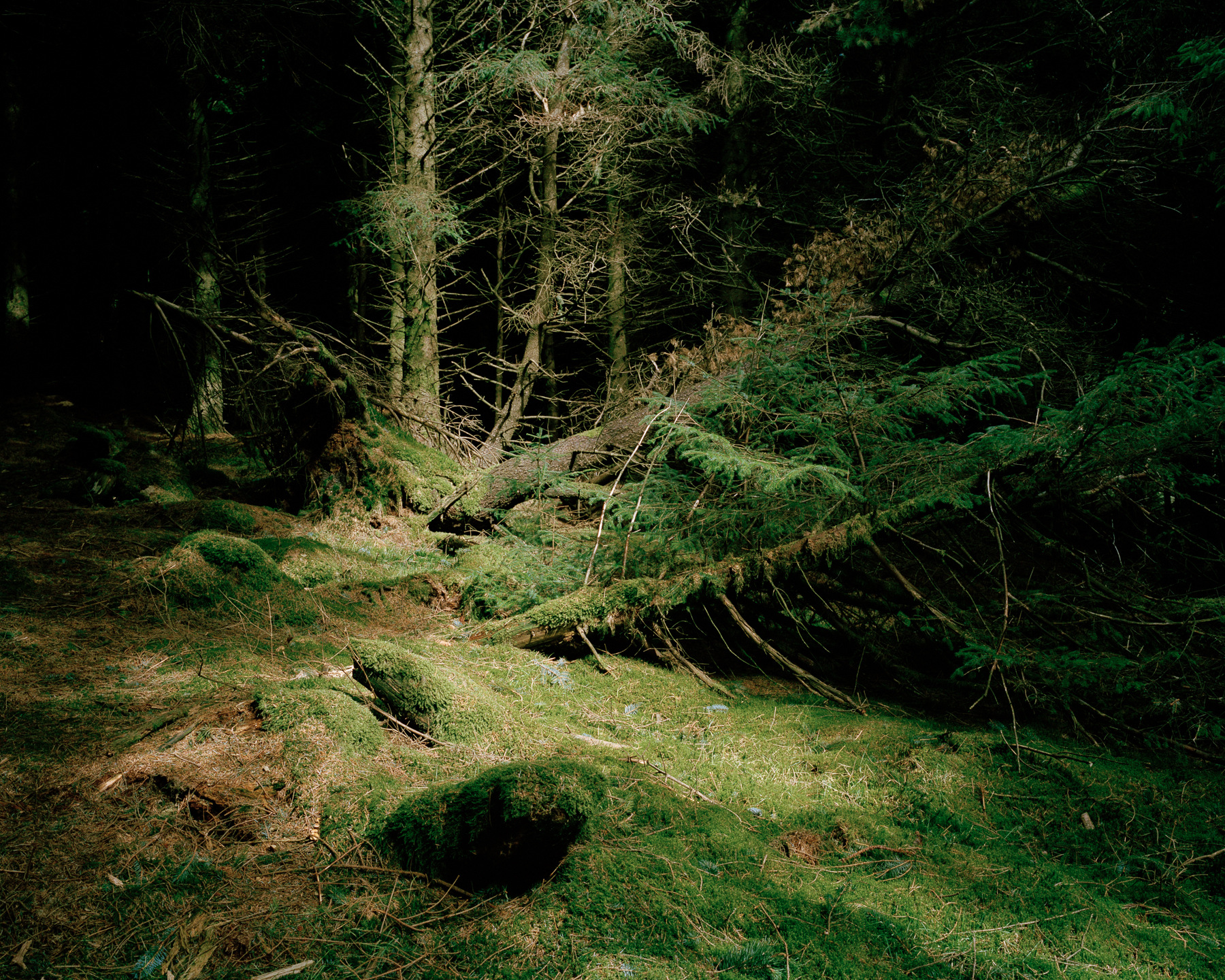 Ricardo Kump Photography -