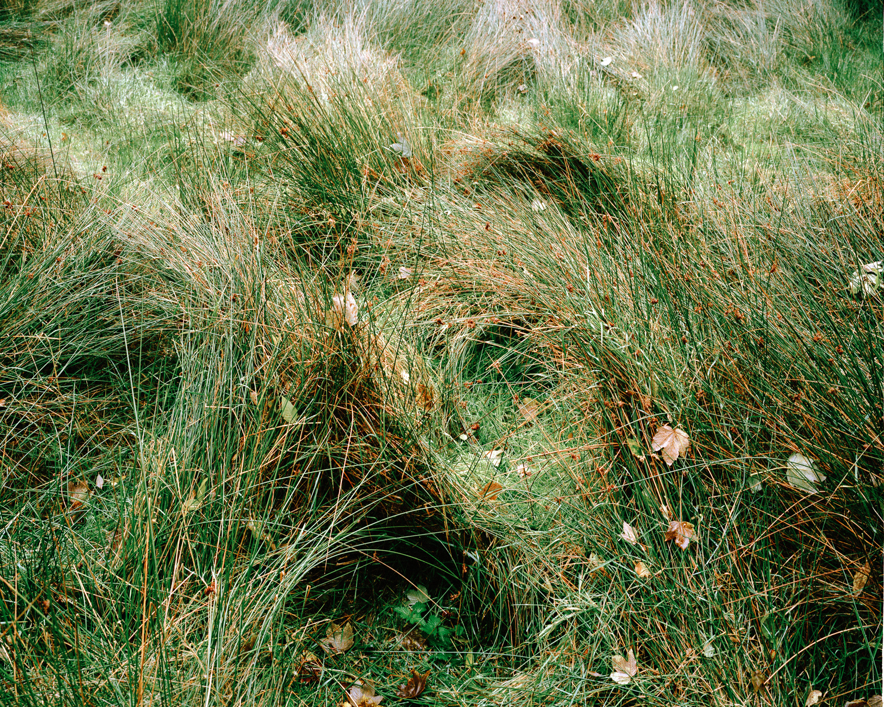 Ricardo Kump Photography -