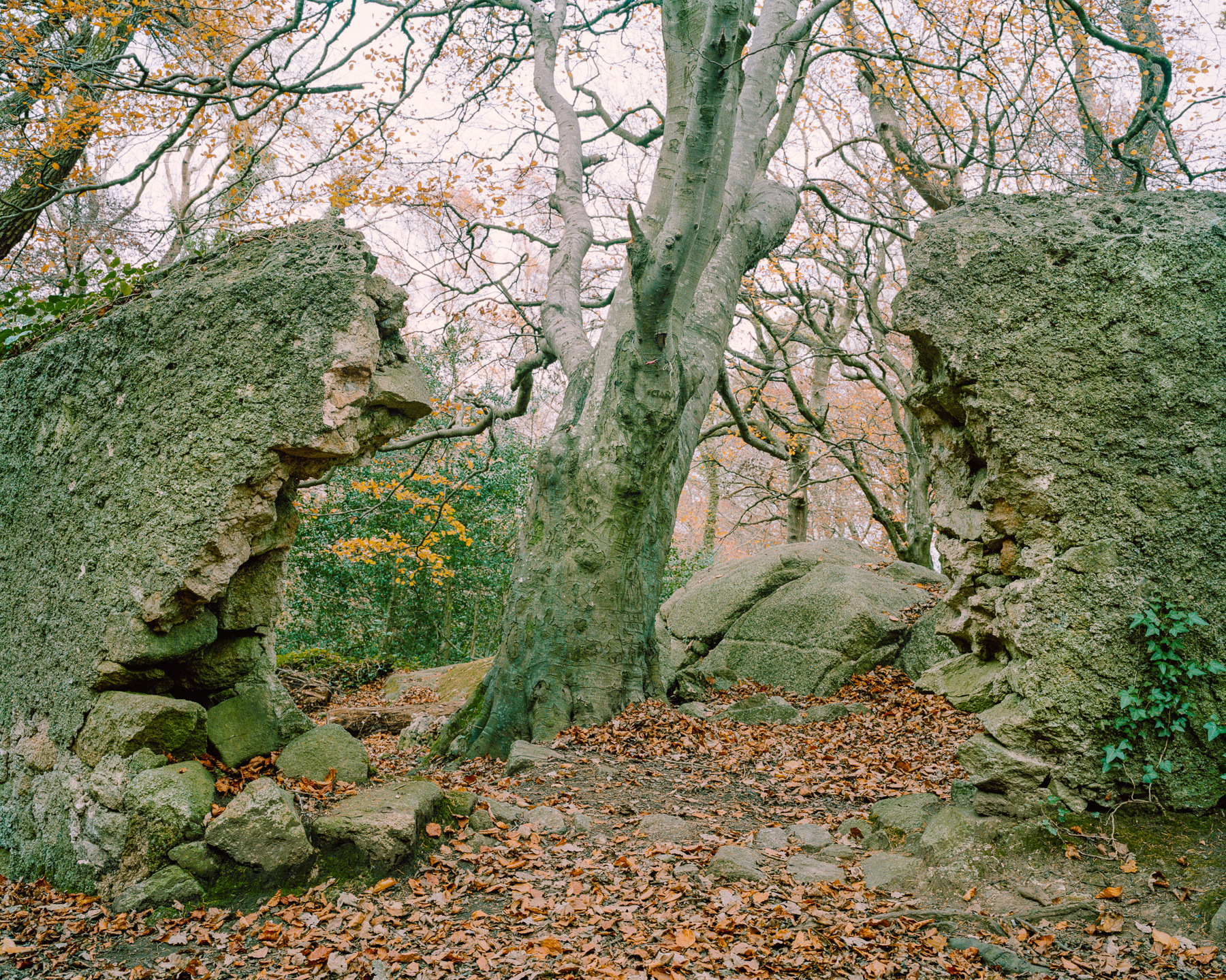Ricardo Kump Photography -