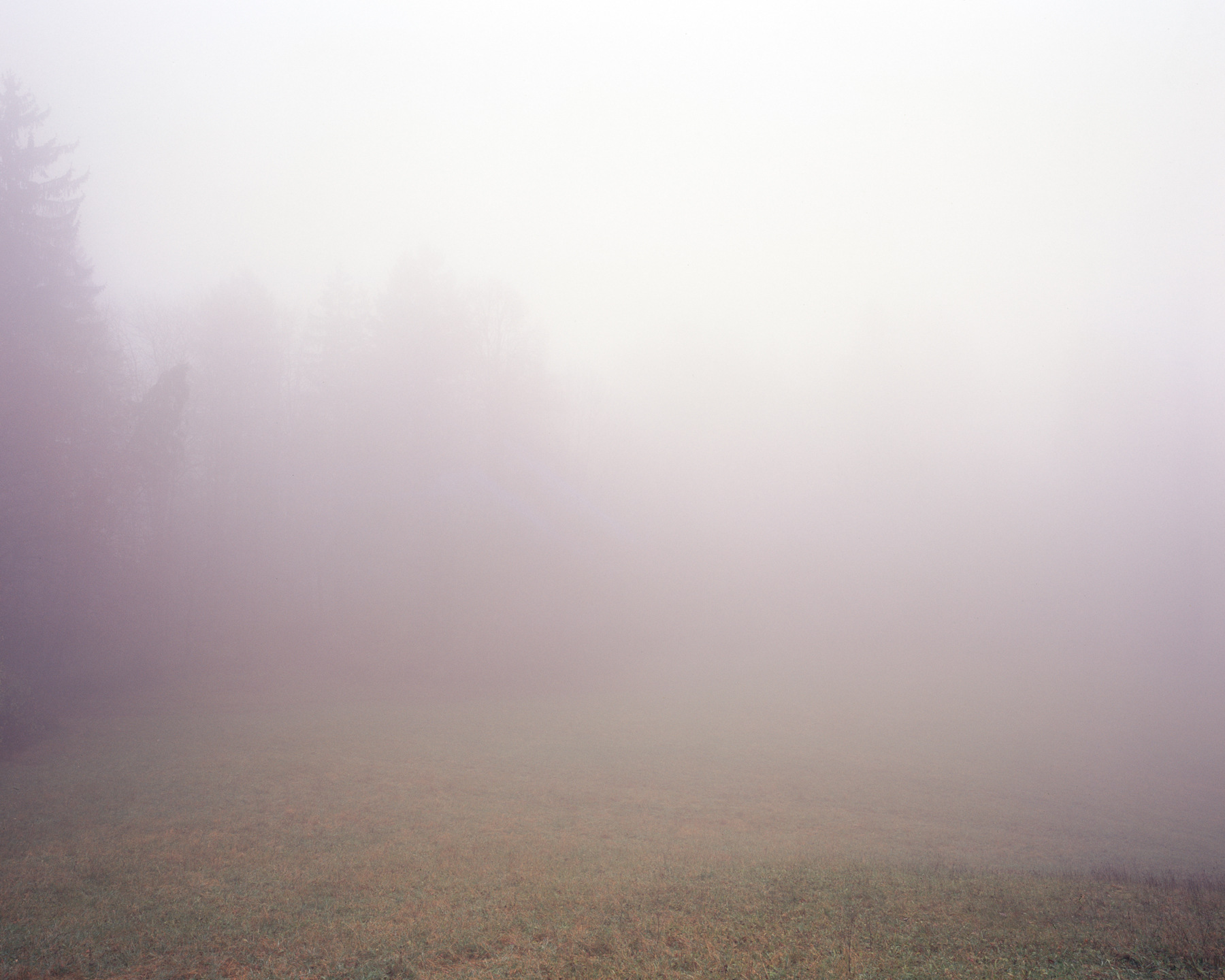 Ricardo Kump Photography -
