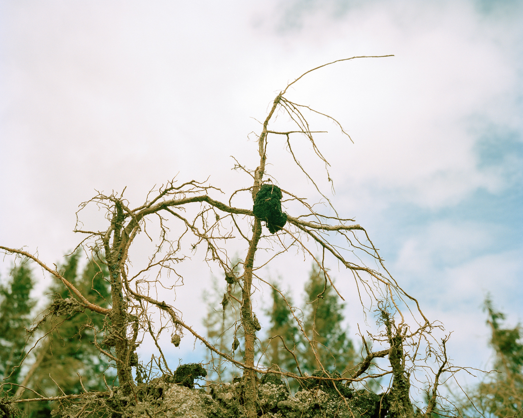 Ricardo Kump Photography -