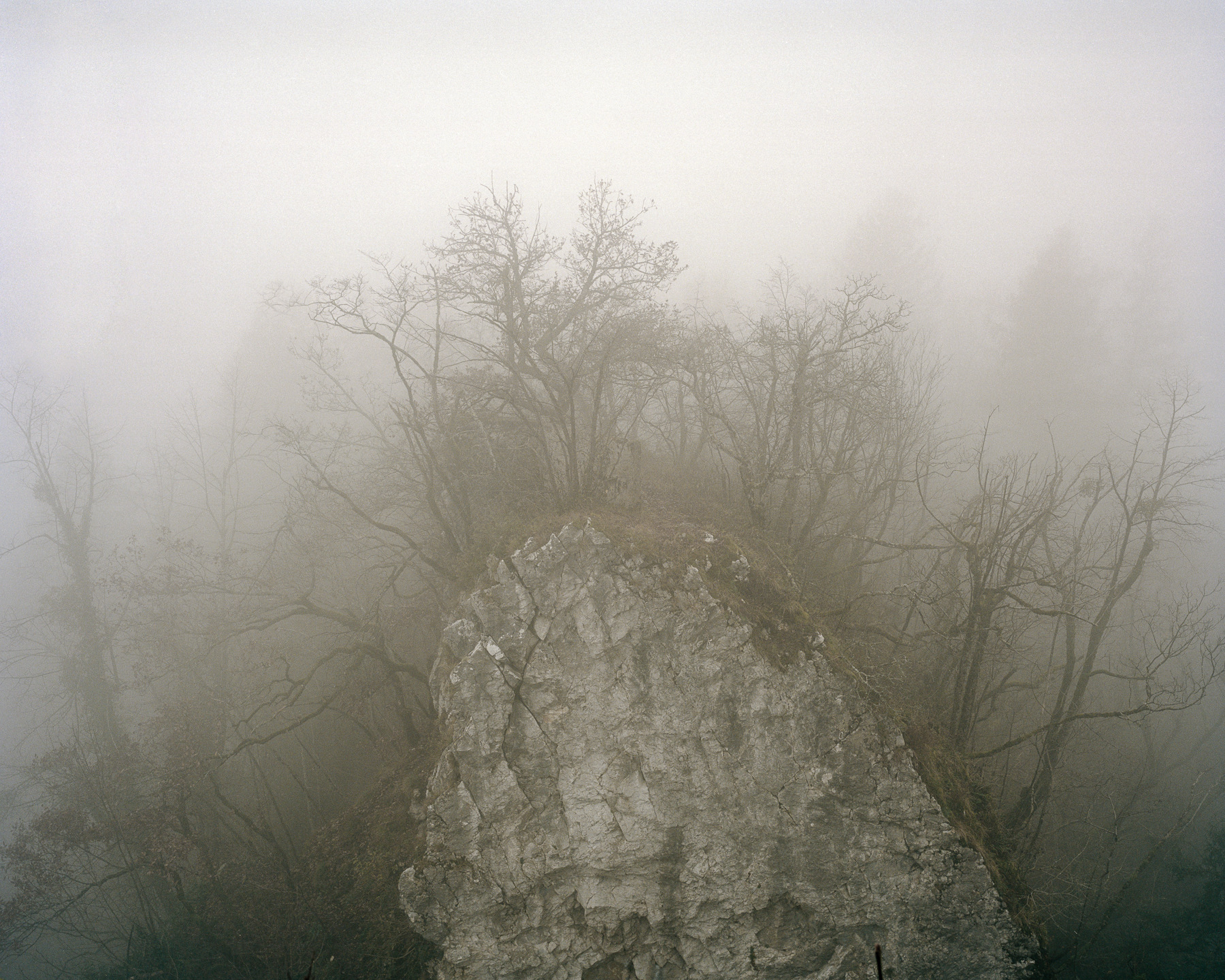 Ricardo Kump Photography -