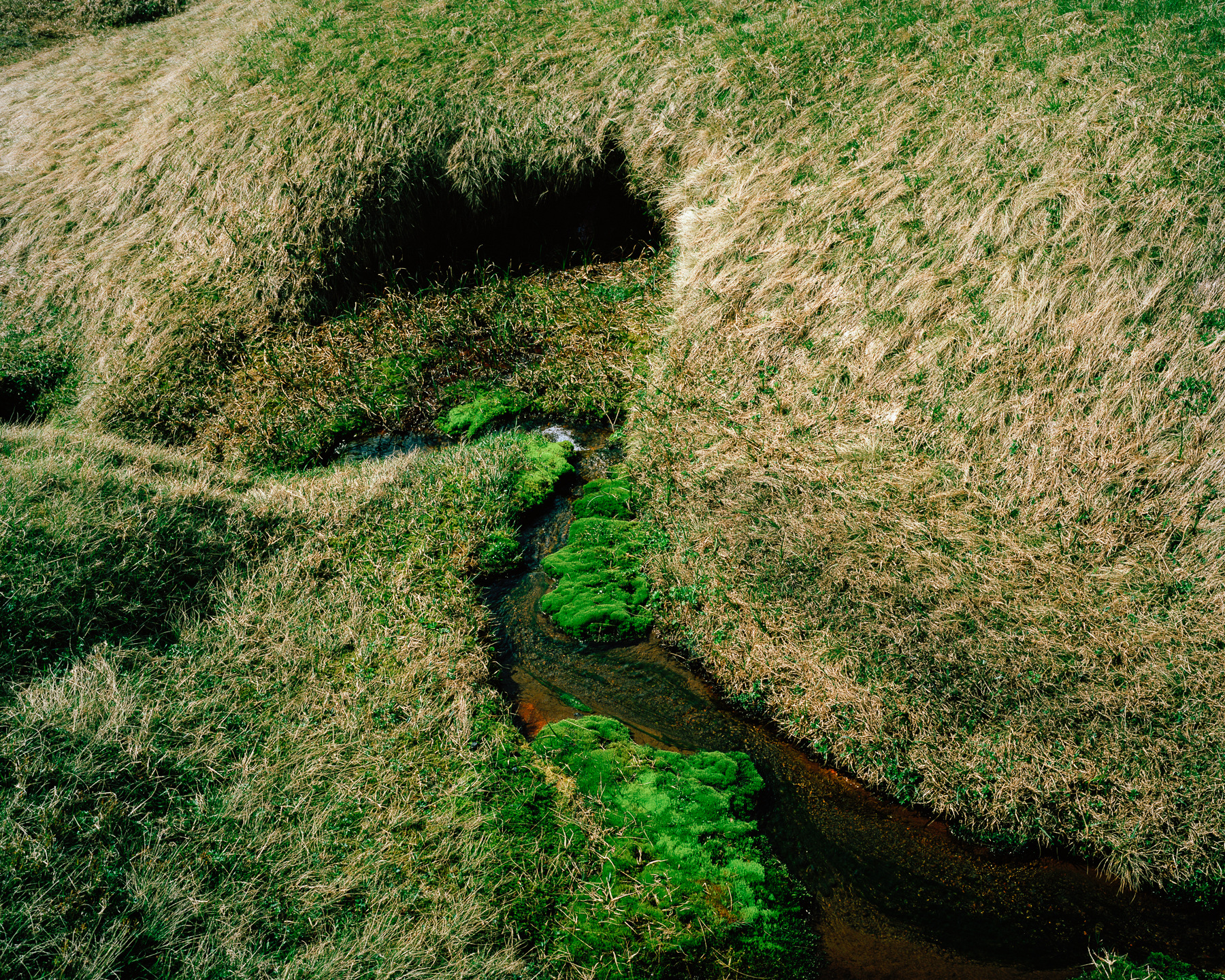 Ricardo Kump Photography -