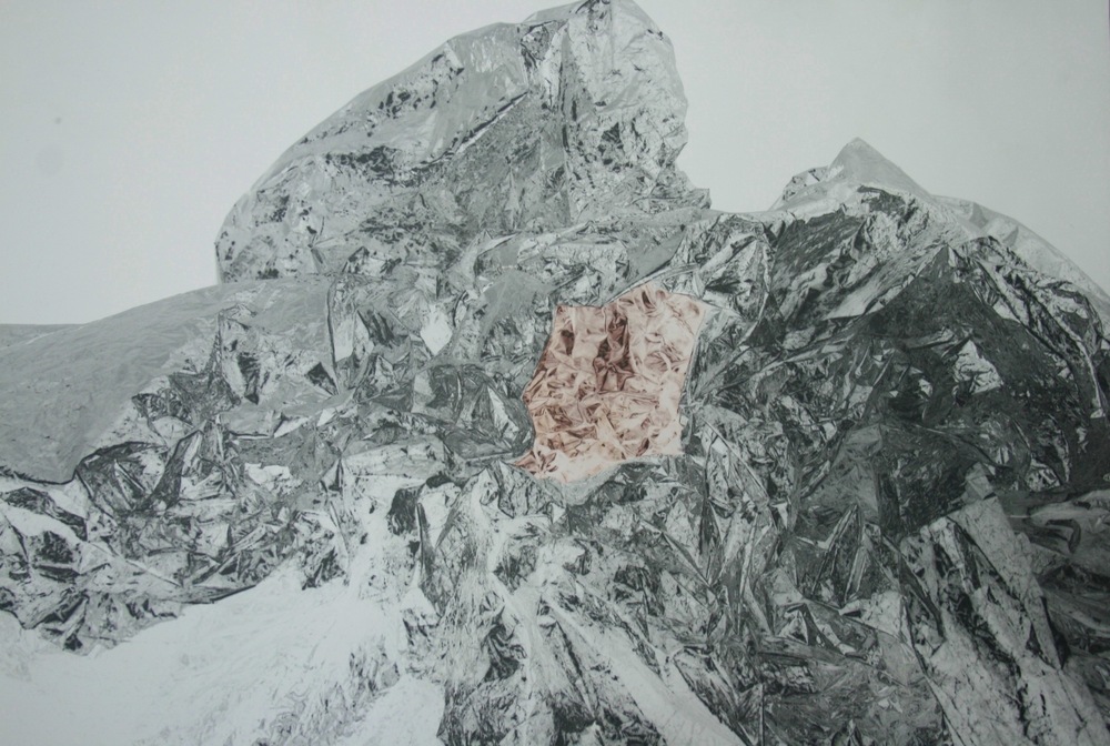 Pedro Wainer - 50 x 60 cm. Exposición directa sobre gelatina de plata, virado al cobre. Impresión Única. (2012)