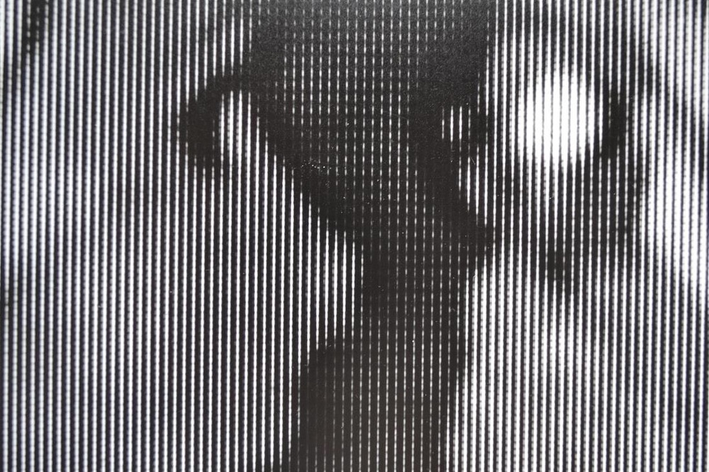 Pedro Wainer - Detalle