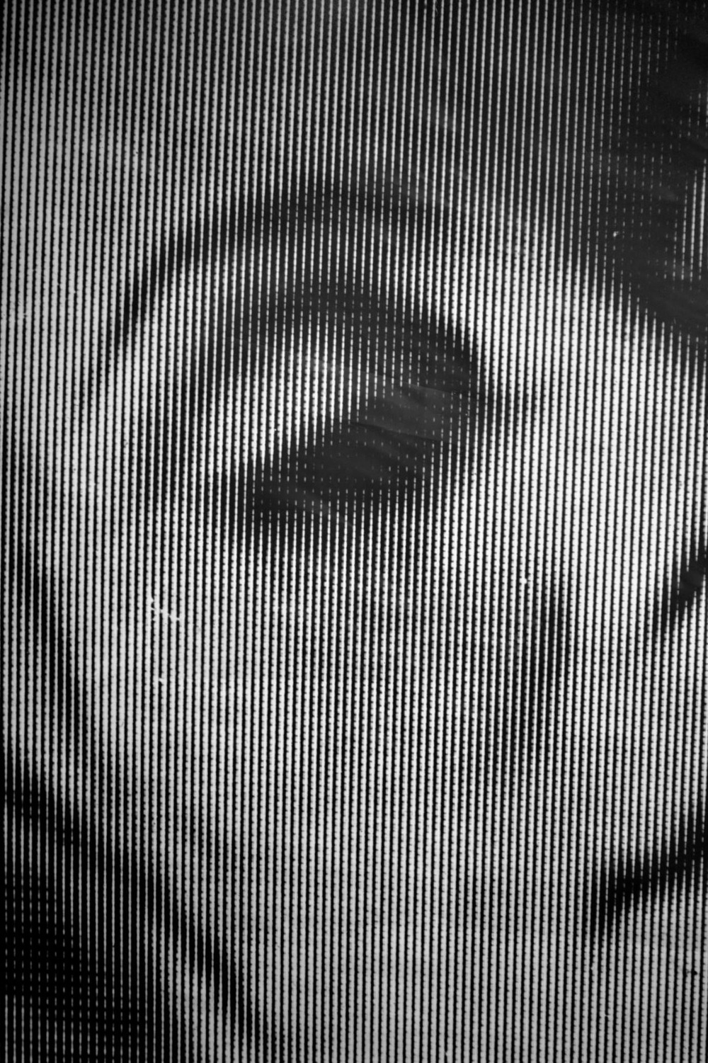 Pedro Wainer - Rostro. Detalle de fotograma 150 x 107 cm. impresión sobre papel RC perla, (copia única). (2015)