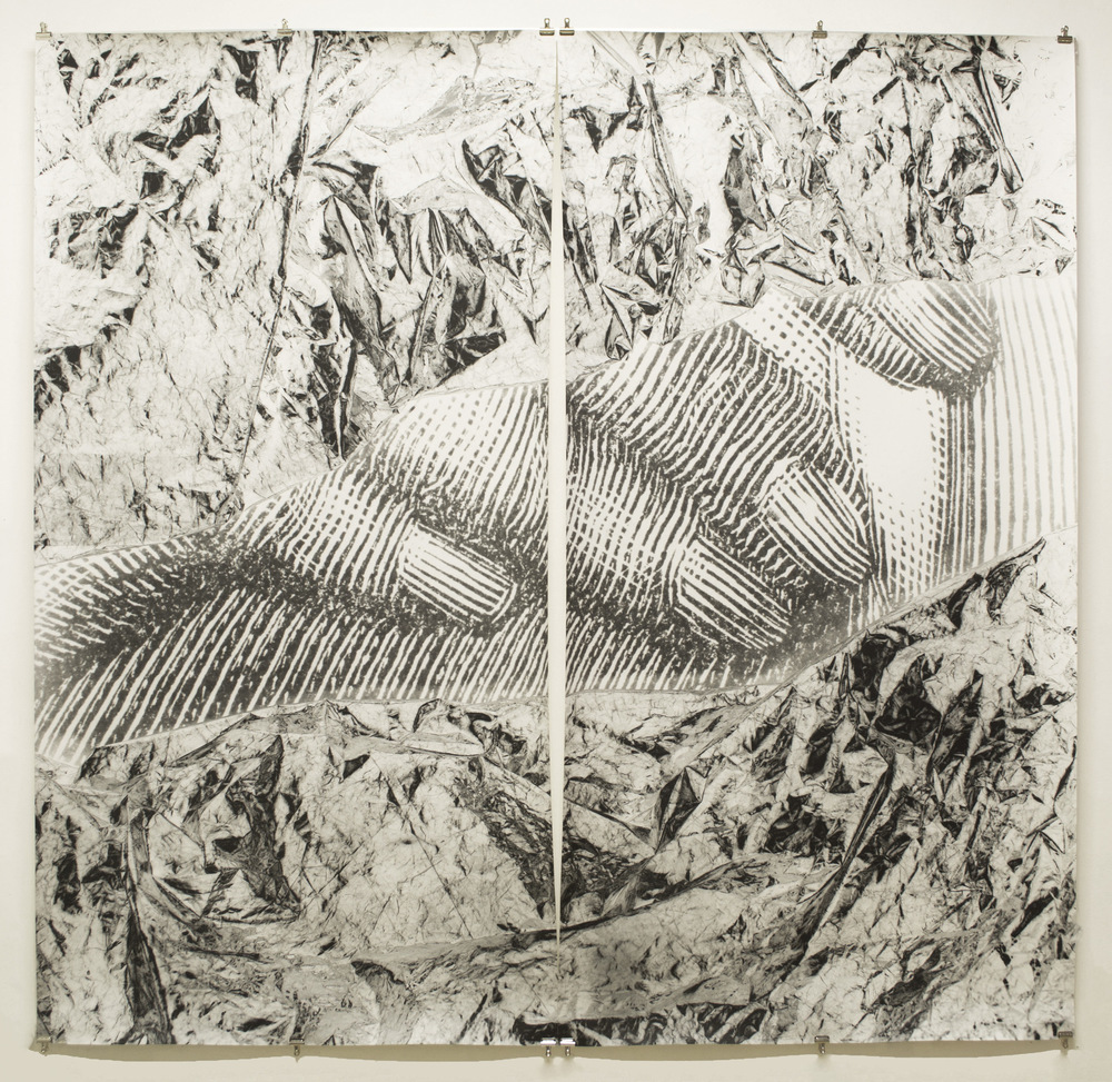 Pedro Wainer - Desentierros #1. Dedos 207 x 215 cm. Exposición directa sobre gelatina de plata, copia única. (2017)