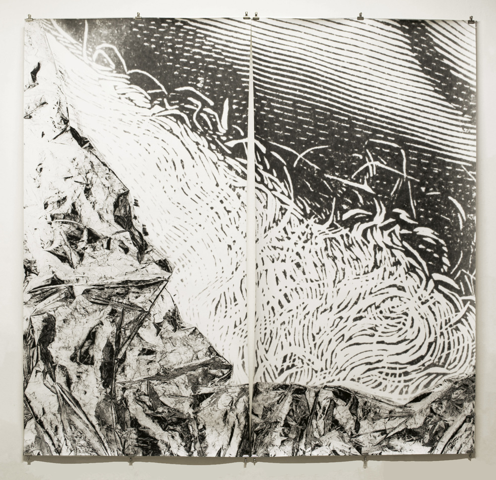 Pedro Wainer - Desentierros #2. Barba 207 x 215 cm. Exposición directa sobre gelatina de plata, copia única. (2017)